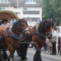 Wuerselen_na_2016_086